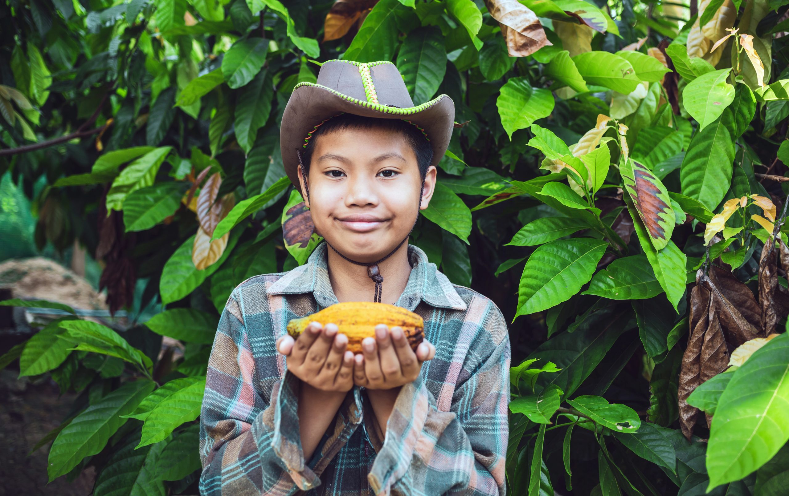 Modern Slavery And Child Labour in the Cocoa Industry