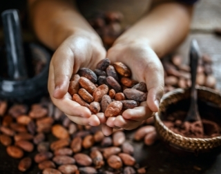 Modern Slavery And Child Labour in the Cocoa Industry